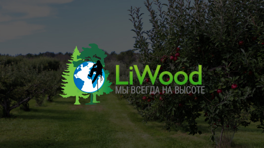 liwood.ru